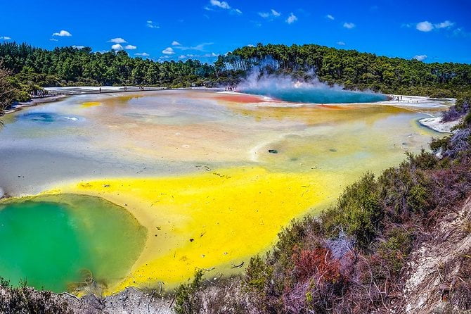 Rotorua Highlights Small Group Tour from Auckland