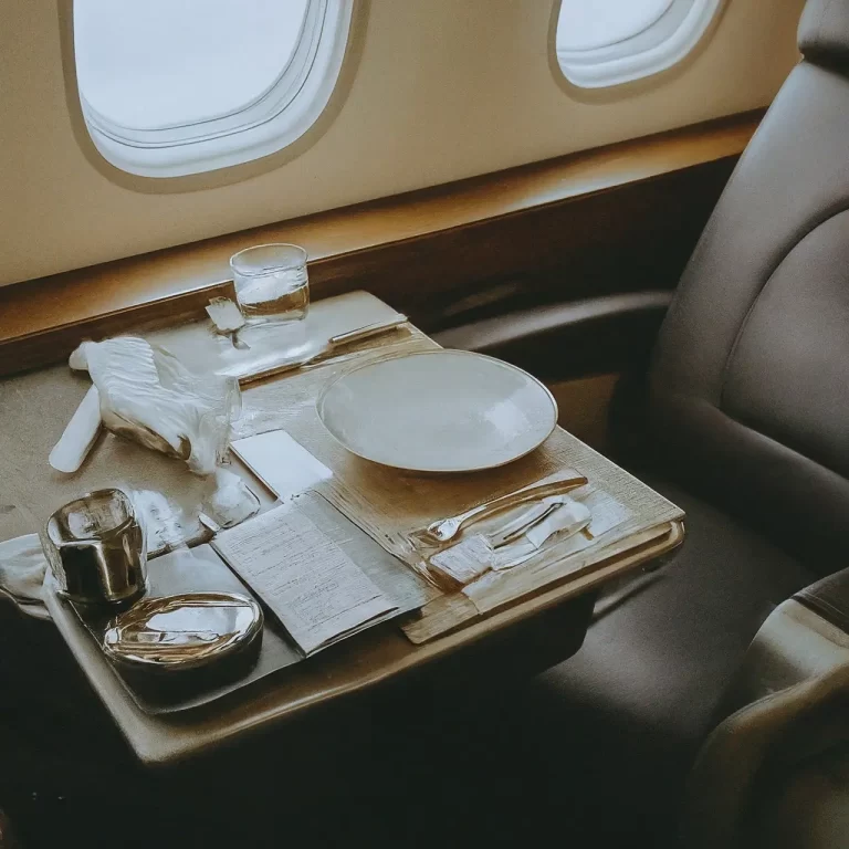 image-4 1 - Mann Travel Tips for Making the Most of Your Business Class Journey to India