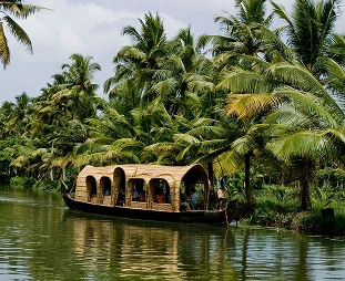 Cochin